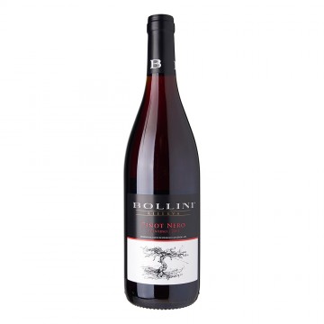 Bollini Trentino Pinot Nero Riserva 2017, 750 ml