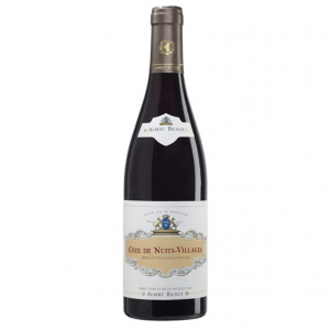 Albert Bichot Côtes de Nuits Villages 2020