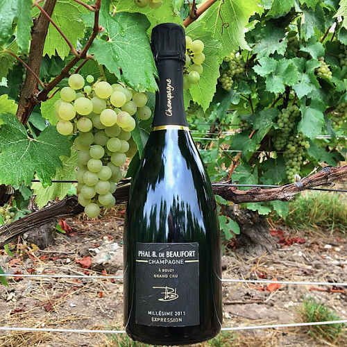 Champagne Brigitte Beaufort