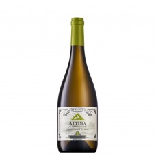 Cape Of Good Hope Altima Sauvignon Blanc 2025