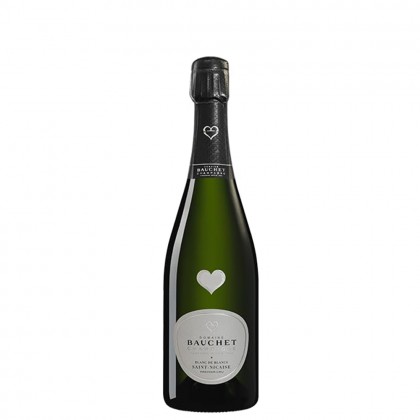 Champagne Bauchet Saint Nicaise Blanc De Blancs Brut 2014