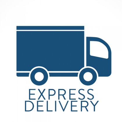 Express Delivery / Special Delivery  