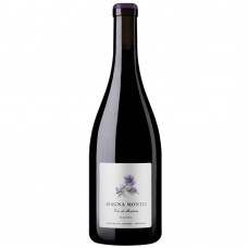 Magna Montis Regional Malbec 2020  