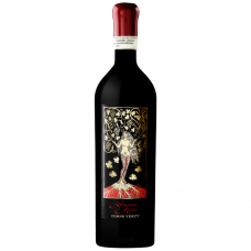 Domìni Veneti Amarone Mater della Valpolicella Classico Riserva 2017