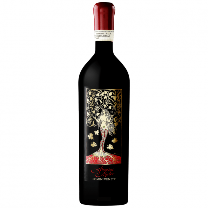 Domìni Veneti Amarone Mater della Valpolicella Classico Riserva 2017
