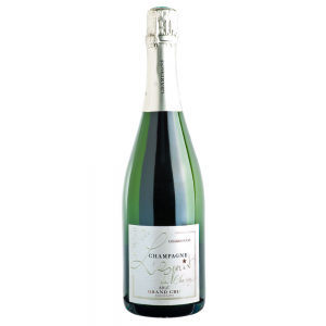 Champagne Chapuy Tradition Brut